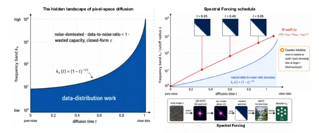 Spectral Forcing overview: left panel shows the data-to-noise ratio profile k*(t) = (1-t)^{-2/α} dividing the frequency-timestep plane into signal-dominated and noise-dominated regions; right panel shows the operator pipeline — noisy input → 2D-DCT → mask above c(t) → IDCT → denoiser