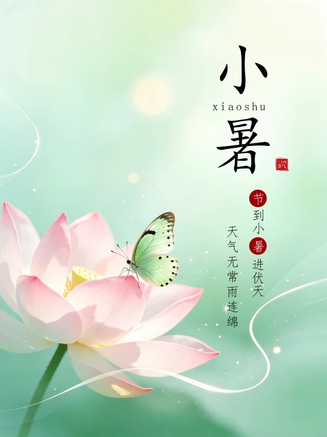 小暑节气海报