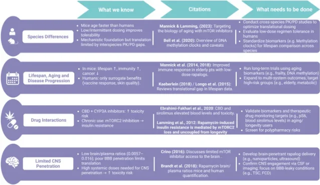 Rapamycin evidence-gaps table from a longevity review