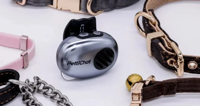 银色 PettiChat 设备放置于宠物项圈之间