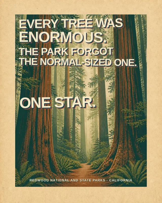 Every tree was enormous. The park forgot the normal-sized one. One star.