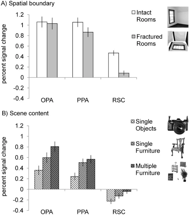 Bar charts comparing fMRI responses in OPA, PPA, and RSC for intact versus fractured rooms (spatial boundary) and for single objects, single furniture, and multiple furniture (scene content)