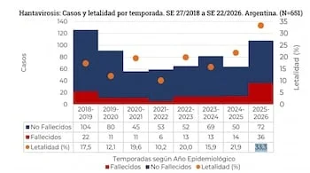BEN-derived chart on hantavirosis cases and lethality in Argentina