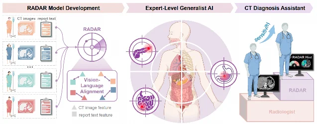 A three-stage diagram: on the left, CT volumes paired with report text feed a vision-language alignment model; in the middle, an anatomical figure with individual organs circled as targets; on the right, a radiologist at a workstation receiving a flagged hint, with an arrow labelled "sensitivity" rising