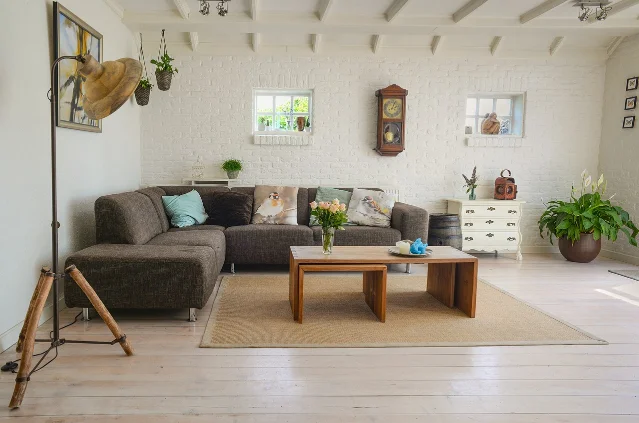 A bright living room with a sofa, coffee table, rug, and plants