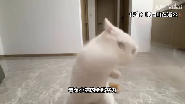 一只白猫在室内做出一只前爪护脸、另一只前爪向前的出拳姿势，画面右上角写着「作者：峨眉山在逃公」