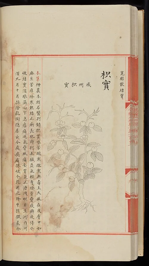 A surviving page from the Yongle Encyclopedia