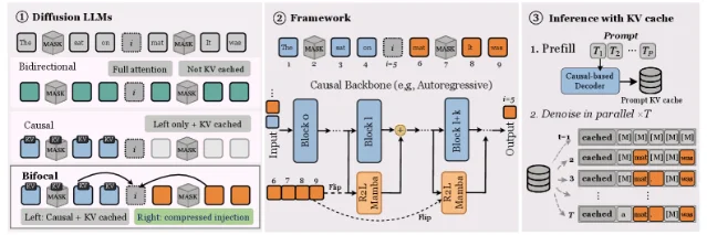 R2LM architecture diagram showing causal left context and reverse-Mamba right context