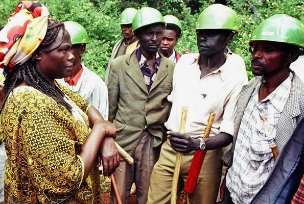 Maathai confronting hired security during a Karura Forest action