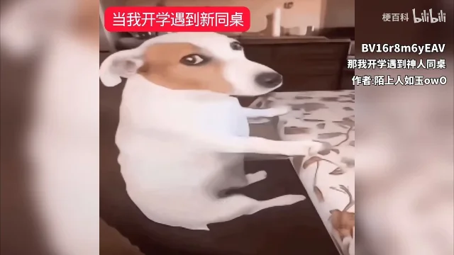 二创画面:小狗坐在教室的课桌上,画面左侧红底白字写着「当我开学遇到新同桌」,右侧写着 BV 号和作者名