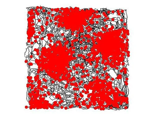 A rat's trajectory through a square environment (black line) with red dots marking where a single entorhinal grid cell fired — the dots cluster at the vertices of a hexagonal grid