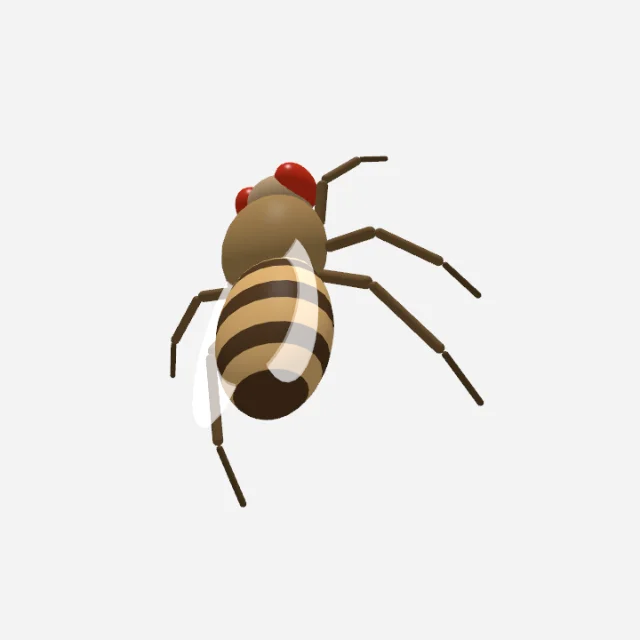 A rendered 3D fruit fly viewed from above