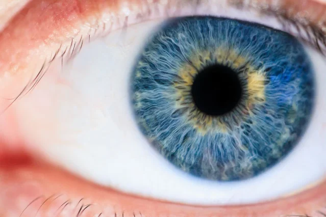 Close-up macro photograph of a human eye showing the iris and pupil in sharp detail
