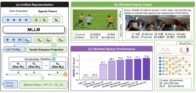 UEmbed 的统一表示与 sparse 结果