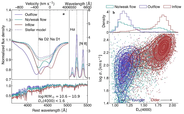 Stacked Na I D spectra and stellar-continuum fits for young galaxies separated by inflow, outflow, and no-flow classifications