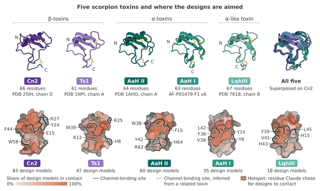 Five scorpion toxins drawn as ribbon models and as contact-frequency surfaces, with the hotspot residues the model selected outlined on each
