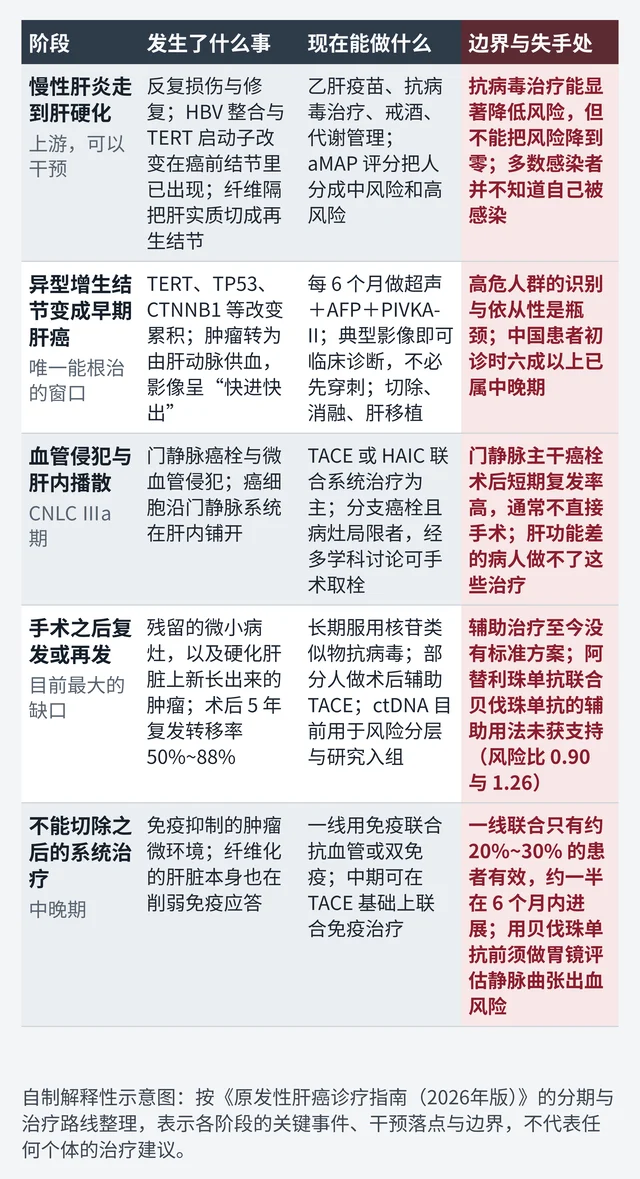 肝癌从慢性肝病到中晚期各阶段的关键事件、干预落点与边界对照表