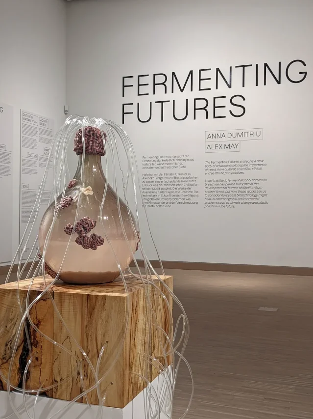 A glass fermentation vessel with amber liquid, clear tubing and purple organic forms in a gallery