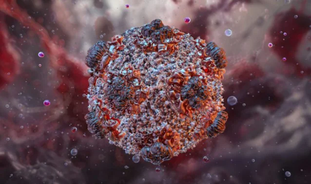 Hantavirus particle illustration — Getty Images via GEN Engineering News