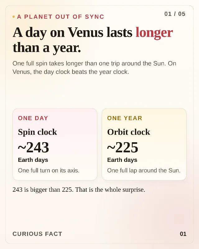 A day on Venus lasts longer than a year.
