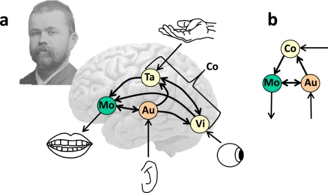 Historical diagram of Wernicke's language model
