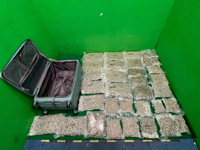 An open grey suitcase next to approximately 24 vacuum-sealed bags of cannabis buds laid out in rows on a green floor
