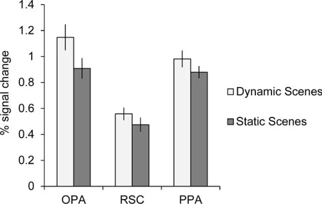 Bar chart showing percent signal change for OPA, RSC, and PPA in the Dynamic Scenes versus Static Scenes conditions