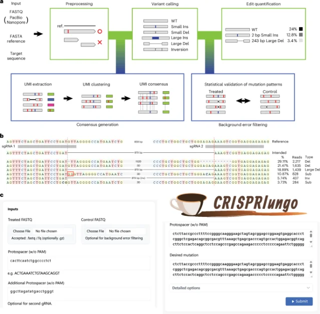 CRISPRLungo workflow showing long-read preprocessing, UMI consensus generation, variant calling, statistical filtering, and edit quantification