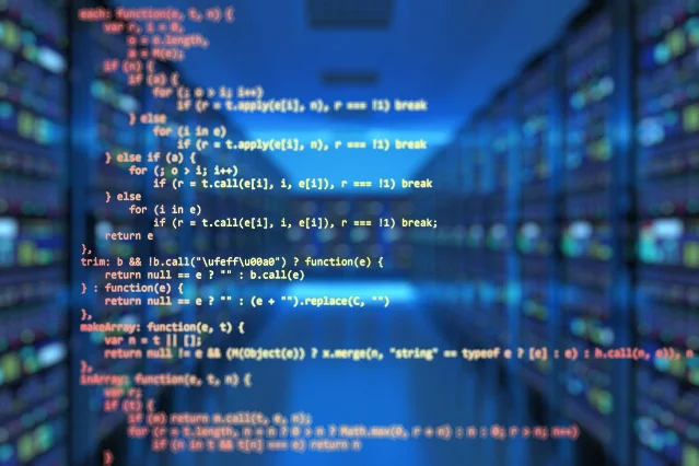 Server infrastructure — self-hosting means you own the uptime