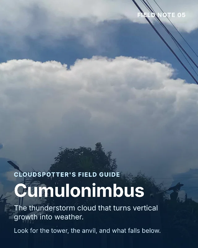 Cumulonimbus: Find the tower, test the top