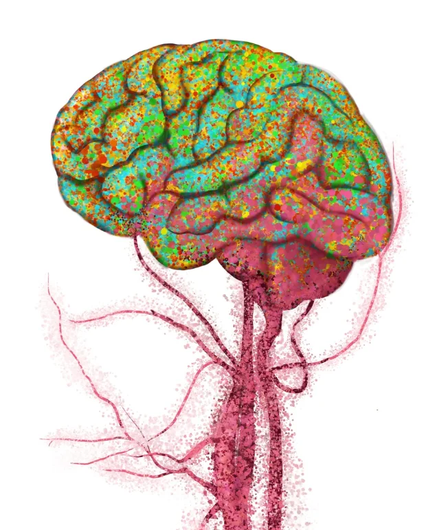 Colorful scientific illustration of a human brain with multicolored speckles and pink vessel-like streams below