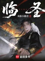 临圣书封