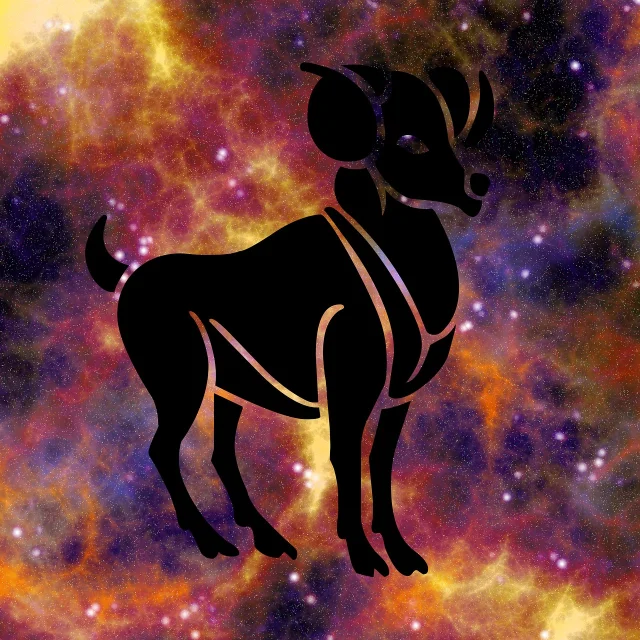 星座命盘图，代表命理中神煞体系的天象来源