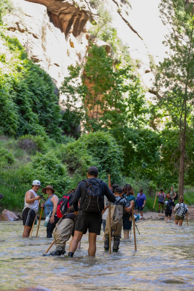 Hikers in The Narrows with trekking poles wading through the Virgin River