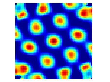 Spatial autocorrelogram of a grid cell. The hexagonal arrangement of peaks — each separated by one grid spacing — confirms the periodic structure of the firing pattern.