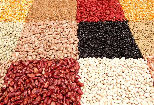 Dried beans, lentils and peas heaped in separate blocks