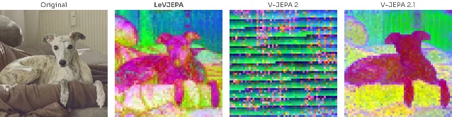 LeVJEPA patch-token PCA