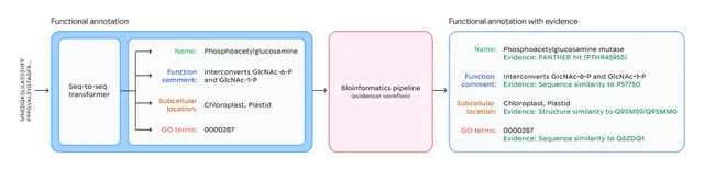 ProtNLM 把氨基酸序列翻译成生物学注释的流水线