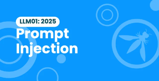 OWASP LLM01:2025 Prompt Injection diagram showing attack surface