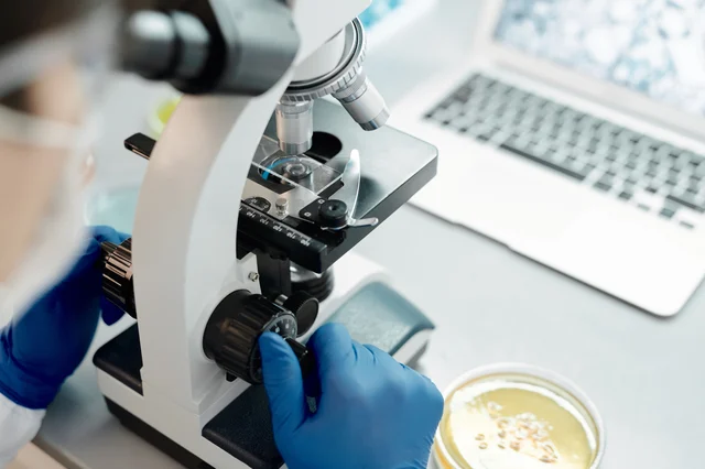 Researcher looking at a biological sample under a microscope in a laboratory setting