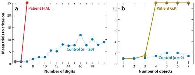 Graph comparing digit span performance: H.M. hits ceiling at 6–7 digits then collapses to zero retention for longer sequences, while control subjects show normal gradual forgetting across object and digit lists