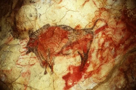 阿尔塔米拉洞穴的野牛壁画,距今约 3.4 万年