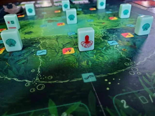 Kelp 棋盘上的章鱼与贝壳标记