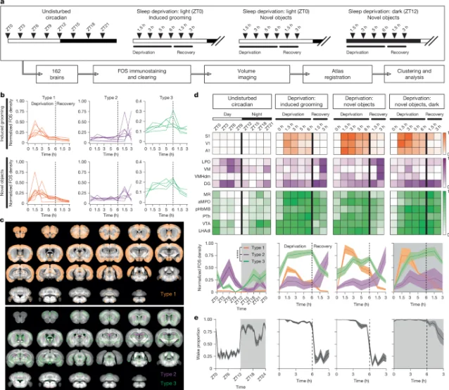Whole-brain mapping design and sleep-drive response classes in mice