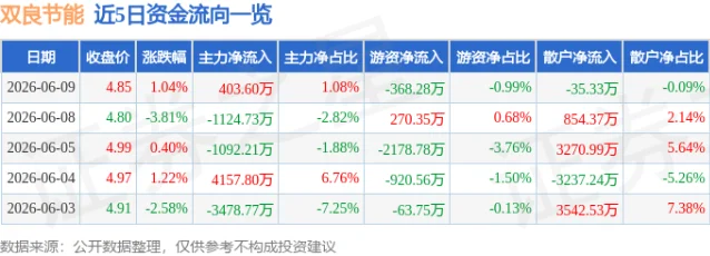 双良节能近 5 日资金流向数据表