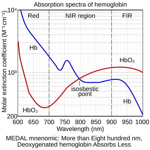 Absorption spectra of oxygenated and deoxygenated hemoglobin across near-infrared wavelengths, showing their crossover at ~810 nm