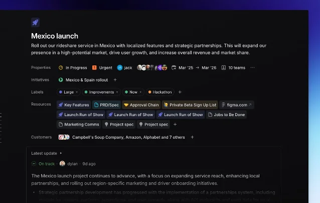 Linear project overview screen