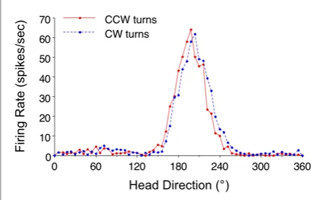 Illustration of head direction cell tuning curves recorded during clockwise and counter-clockwise turns, showing the anticipatory offset between the two functions