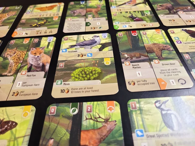 Forest Shuffle 的动物与植物卡牌