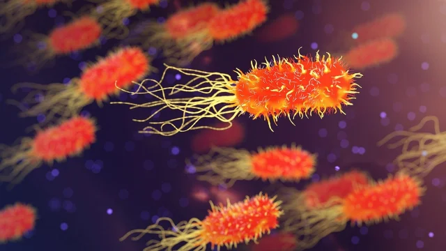显微镜下的微生物群落,单个细胞紧密排列